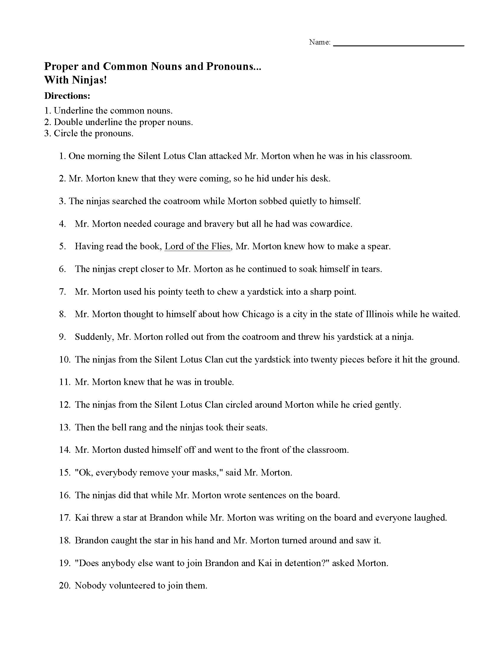 Proper And Common Nouns And Pronouns With Ninjas Worksheet Answers