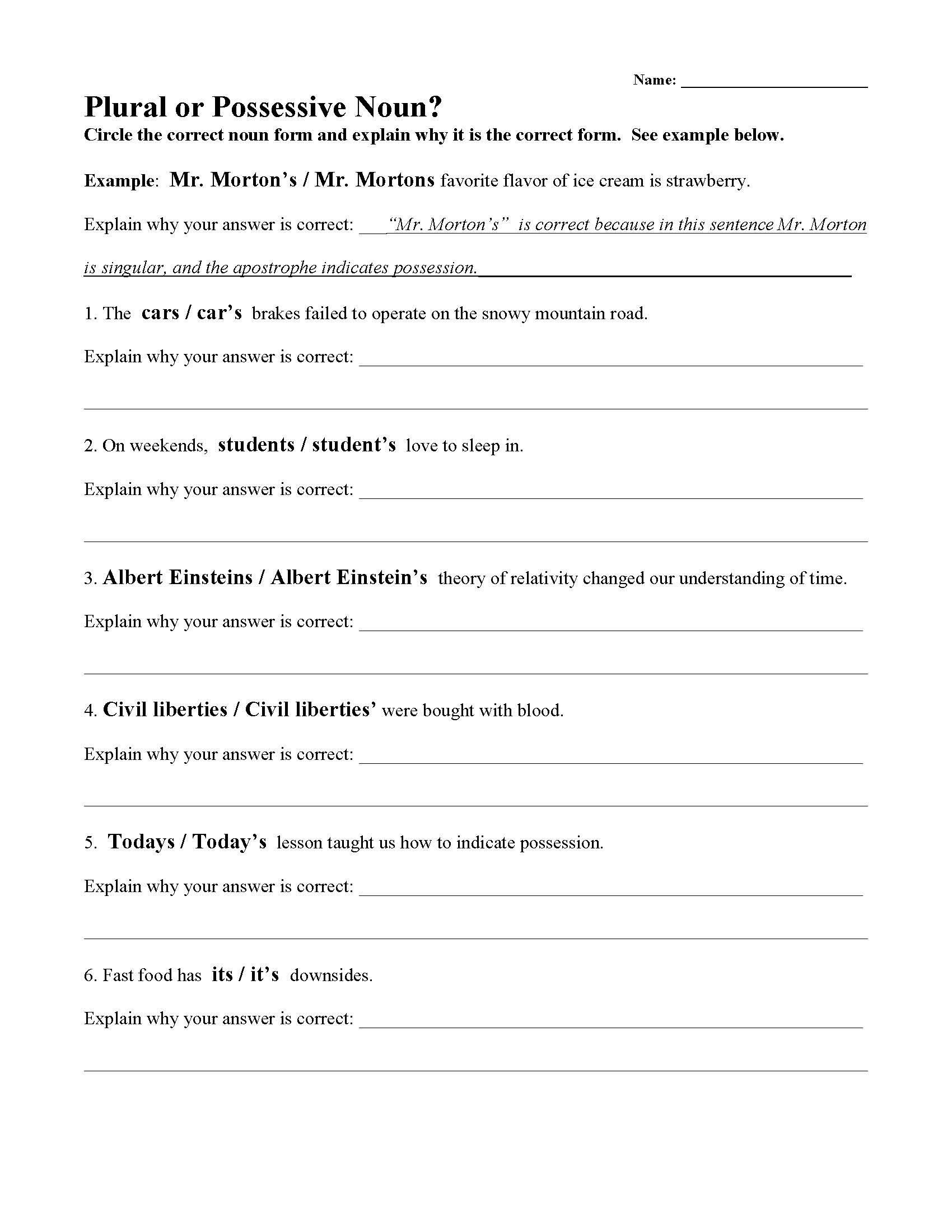Plural or Possessive Noun Worksheet | Preview