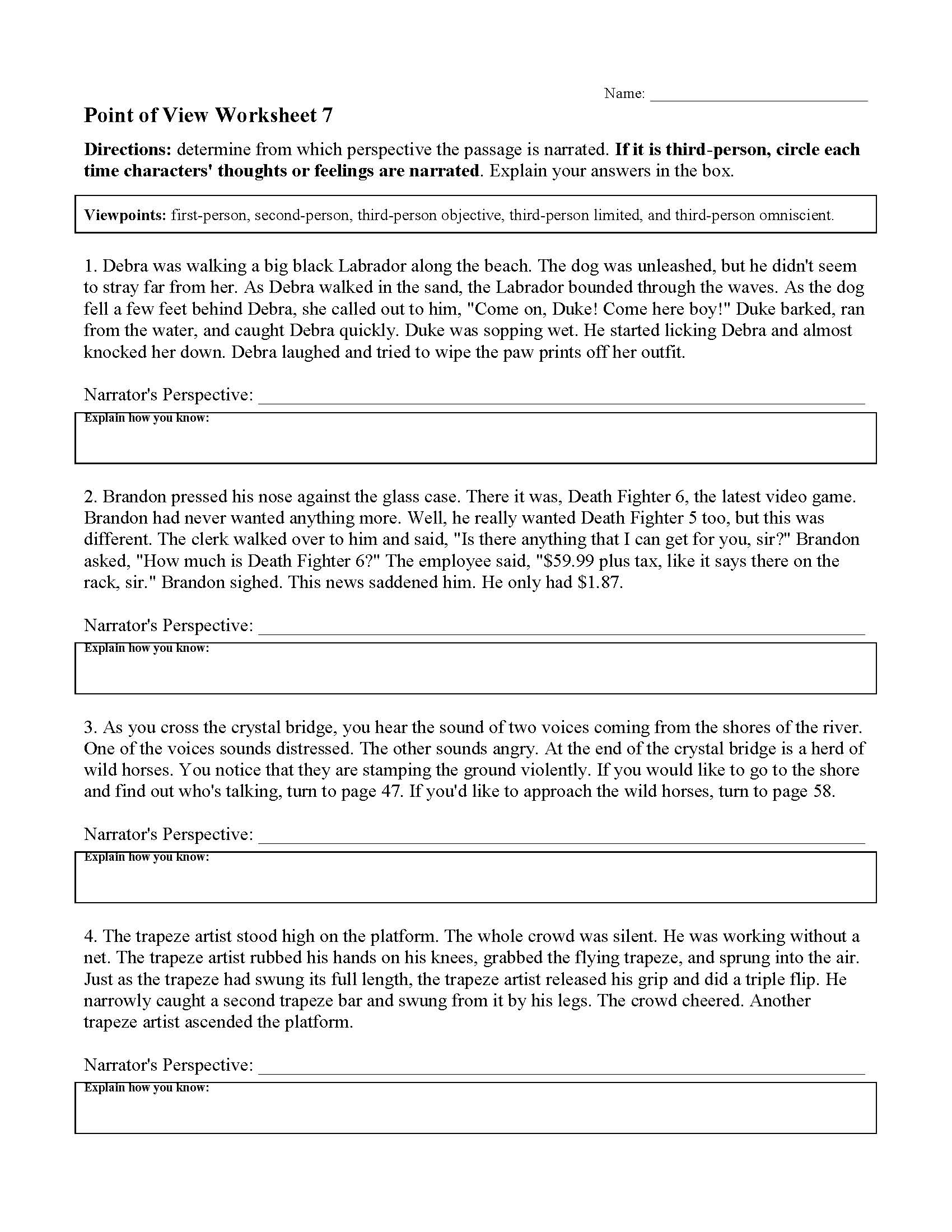 point-of-view-worksheet-7-preview